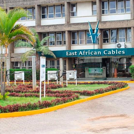 CAK Clears Cable Experts to Acquire 68% of East African Cables
