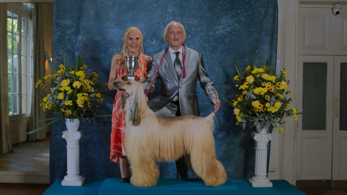 'Prince' Is a Stylized Cinematic Battle Royal With a Show Dog, His Owner, Her Butler and Their Family