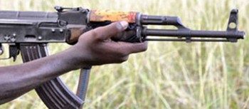 Sudan war: Child among four slain by North Kordofan gunfire, rights monitor says - Dabanga Radio TV Online