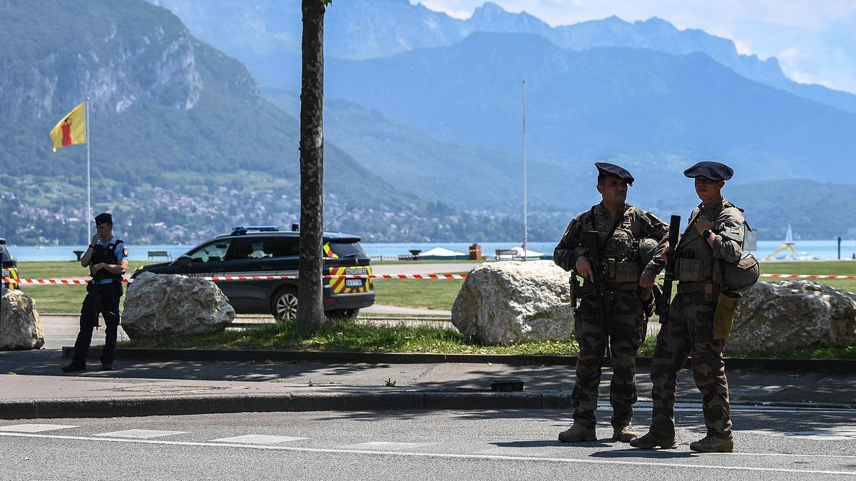 Man is charged over playground 'knife rampage' in the French Alps