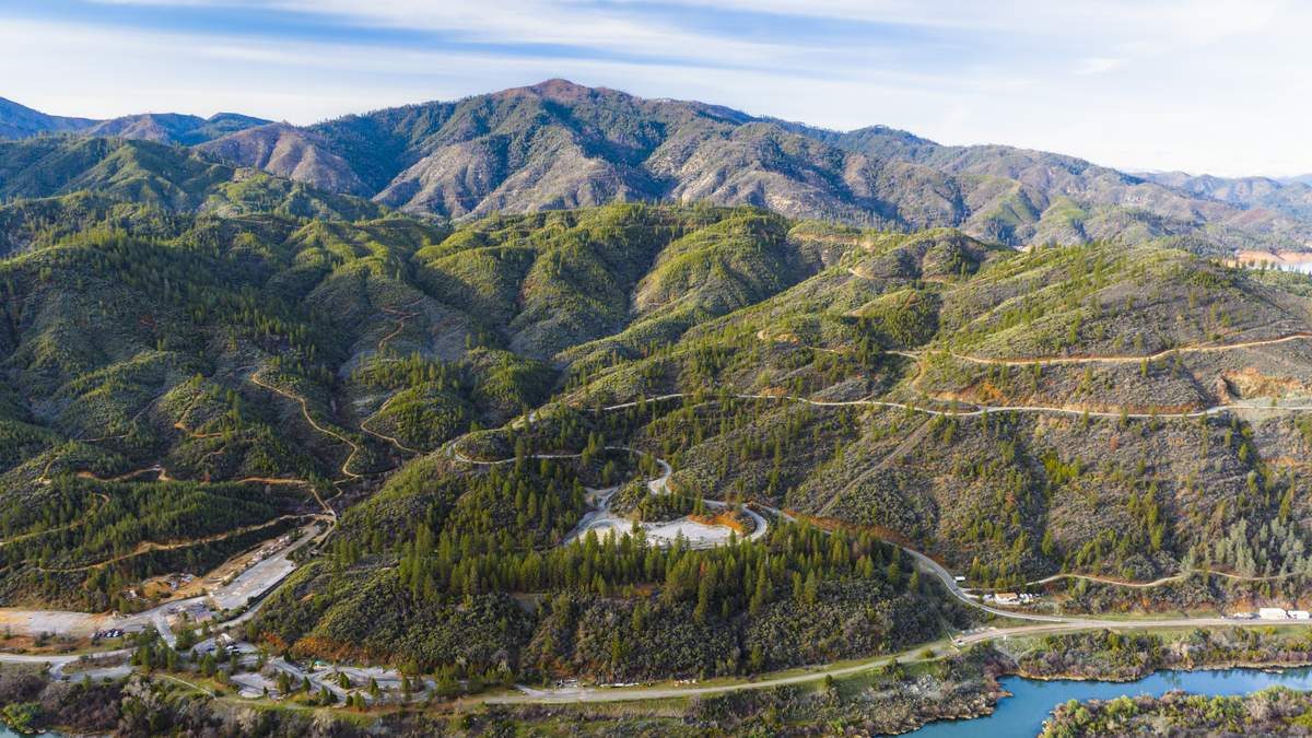 Elderly Woman Missing For Days In California Forest Found Alive, Is In Critical Condition