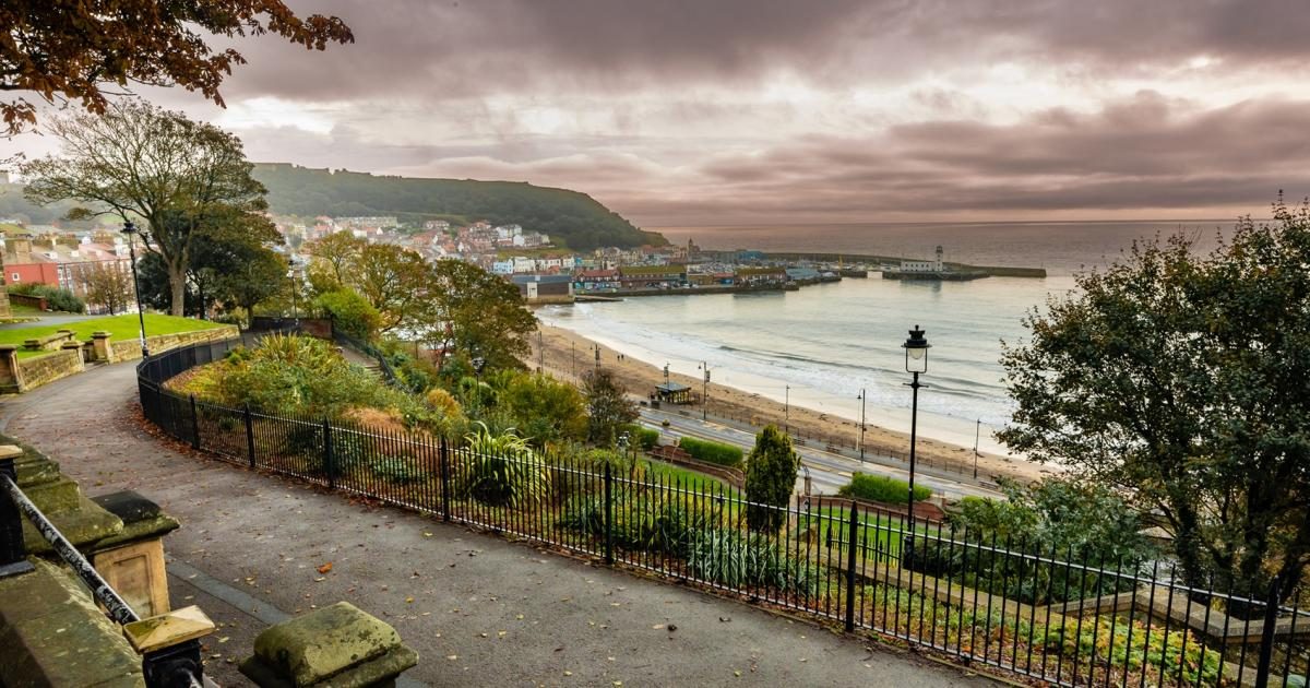 Five best Yorkshire beaches to visit with your dog this autumn