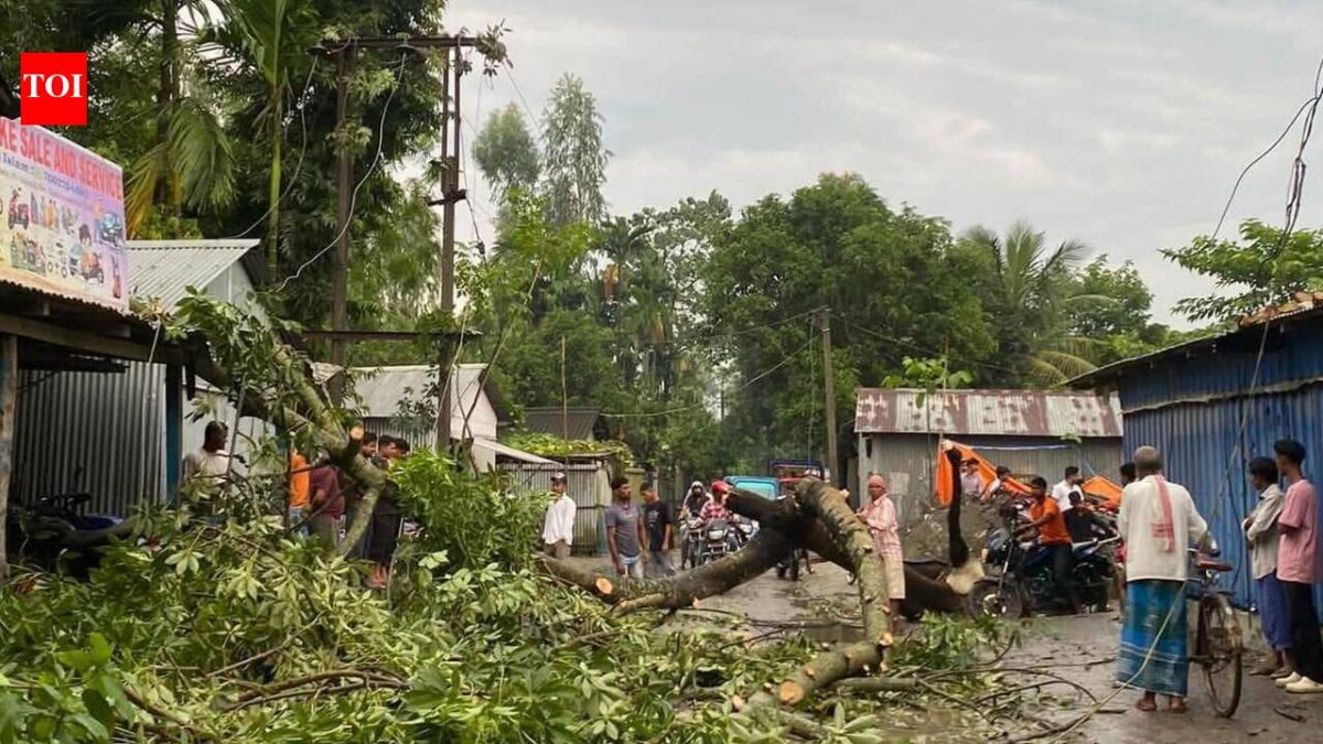 Monsoon likely to withdraw from NE by Oct 15: IMD