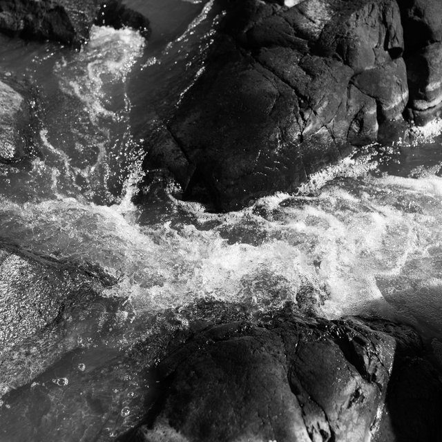 The Incident at Little River That Launched N.C.'s Gay Rights Movement
