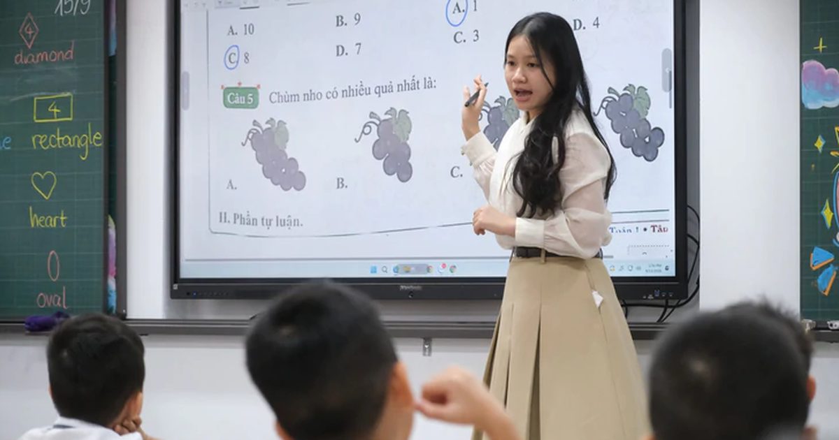 English proficiency among 35,000 Vietnamese teachers not encouraging: ETS executive