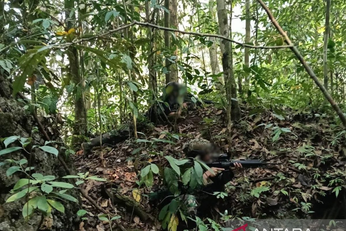 TNI neutralizes armed separatists in Southwest Papua clash