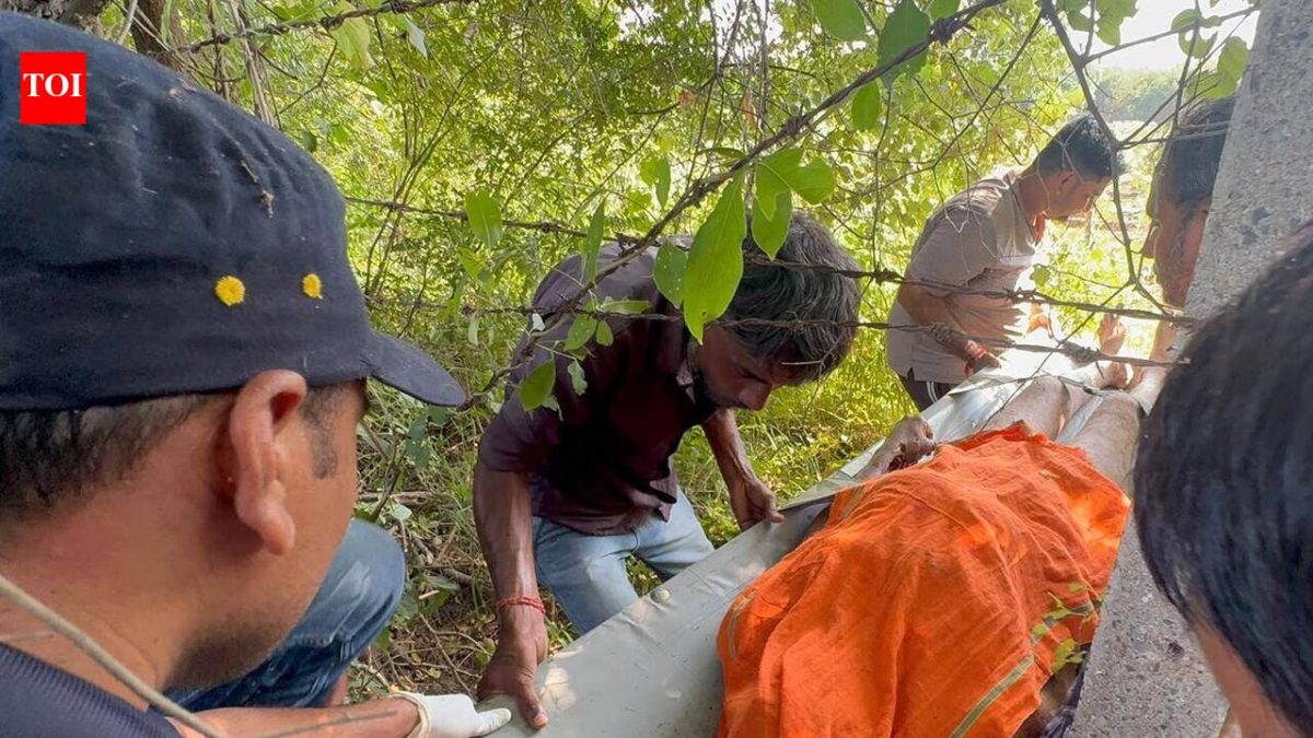 Farmer killed in crocodile attack