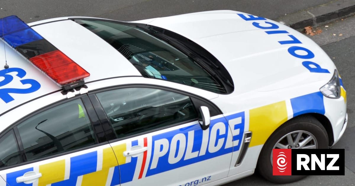 Police hunt vehicle after man critically injured in Tararua roadside assault