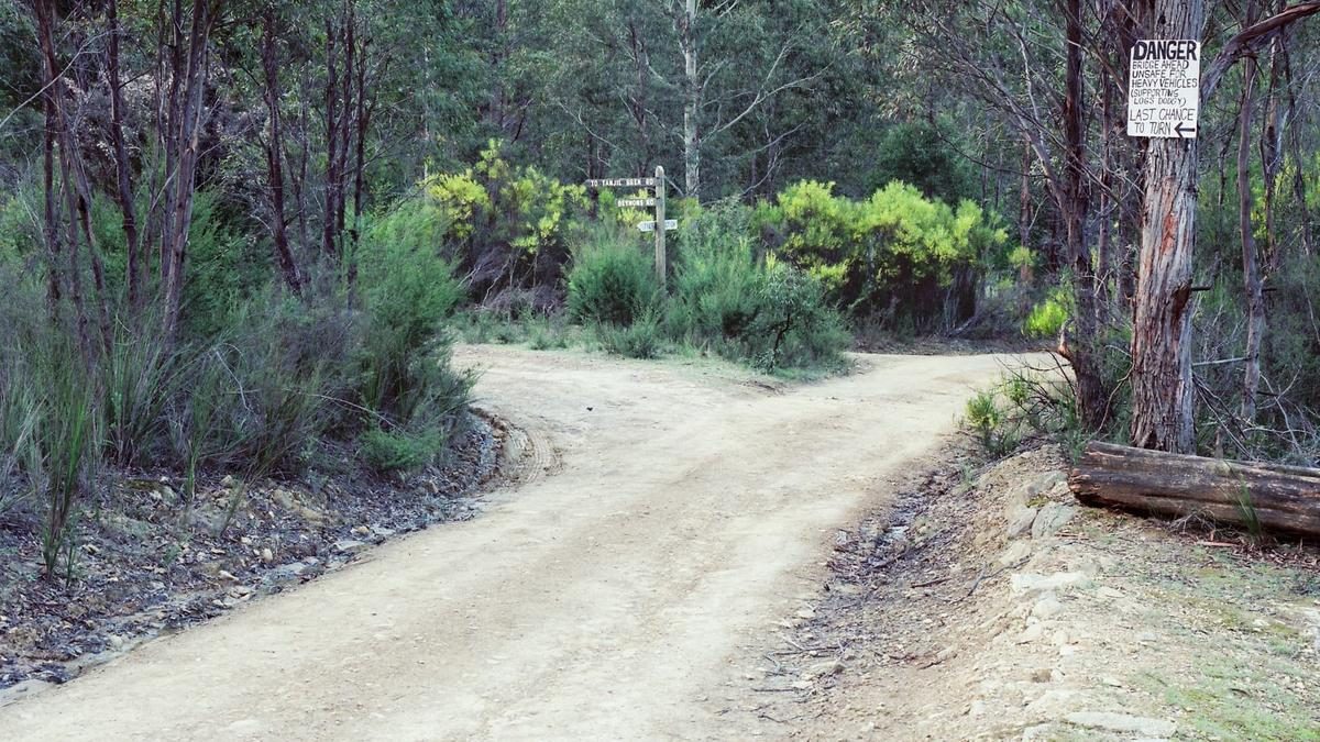 'Killer out there': Dad found in shallow grave