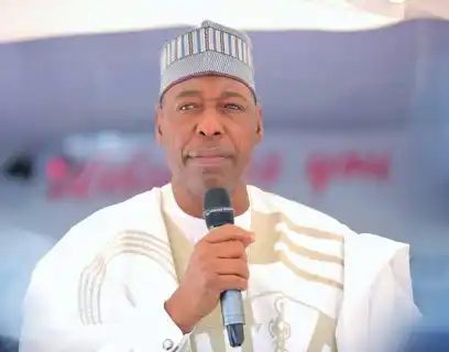 Tinubu Assures Zulum Of Action To Rescue Abducted Borno Children