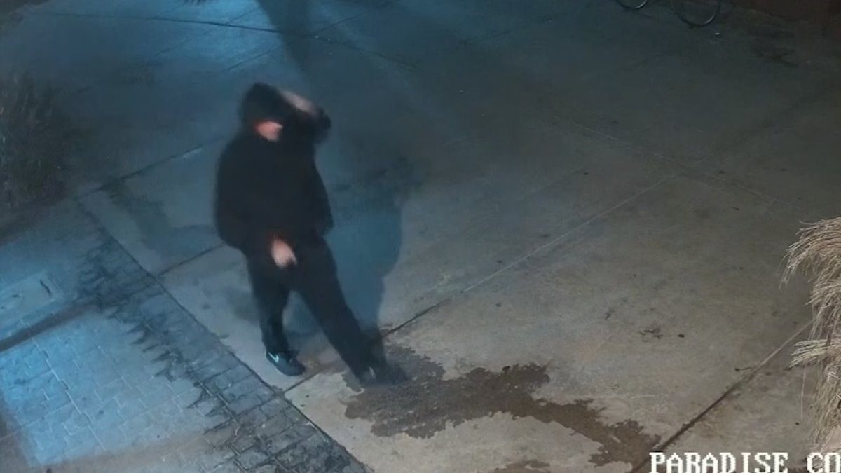 Tips sought in fatal shooting of security guard at Crystal Pier in Pacific Beach