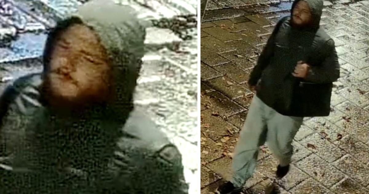 Police search for man after sexual assault reported