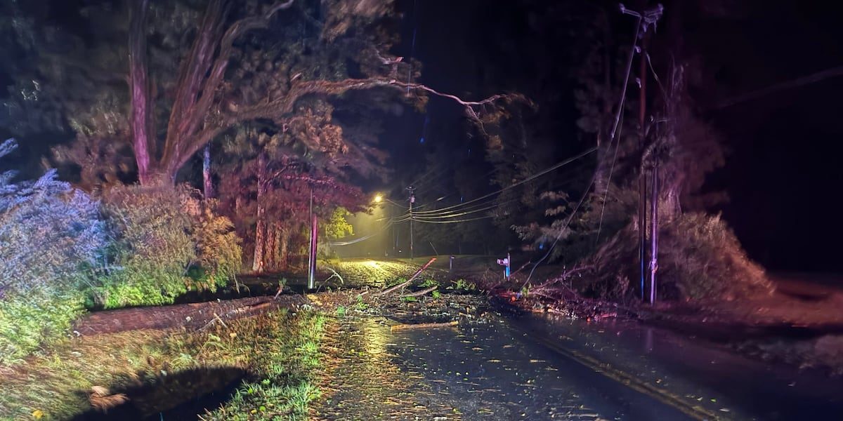 Deputy injured by falling tree during Hurricane Isaias response