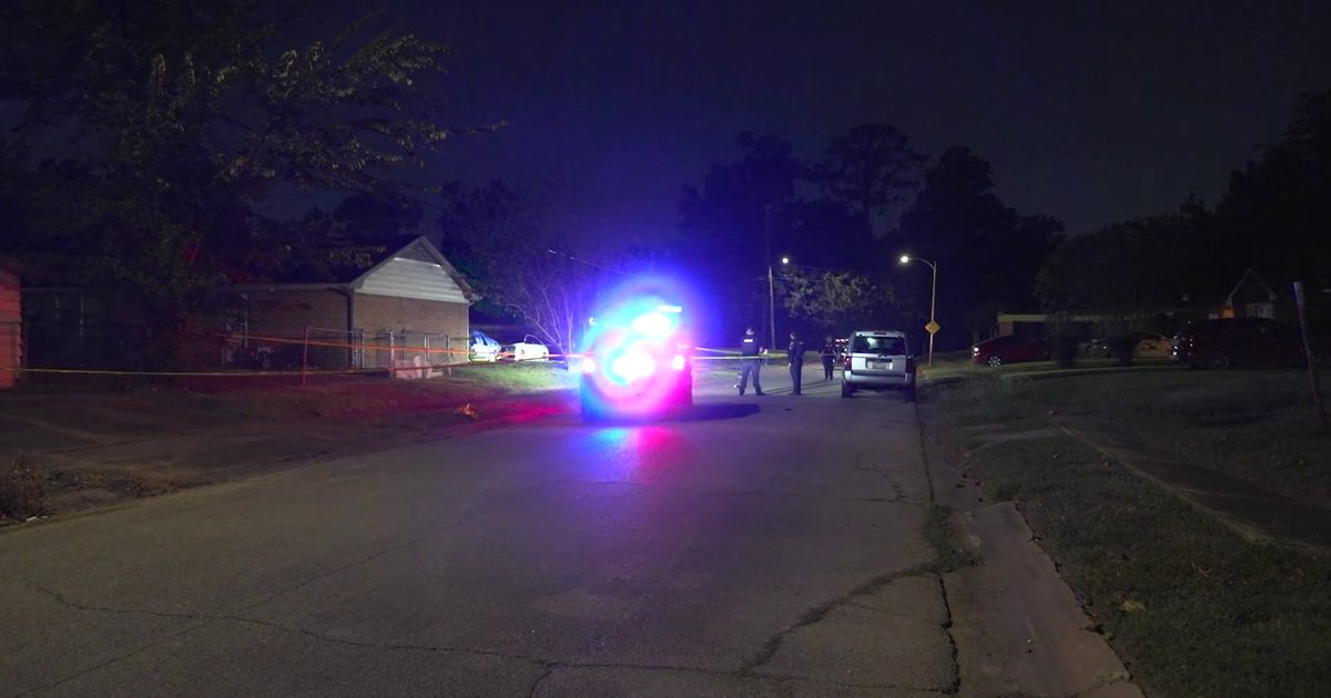Houston homeowner's son shoots man found in backyard, police say