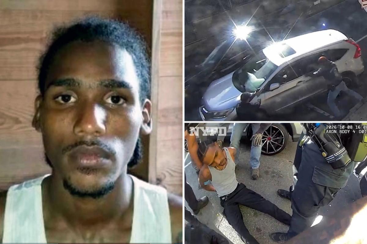 'Criminal illegal' migrant shot by ICE terrorized NYC apartment building with machete: 'Menace to society'