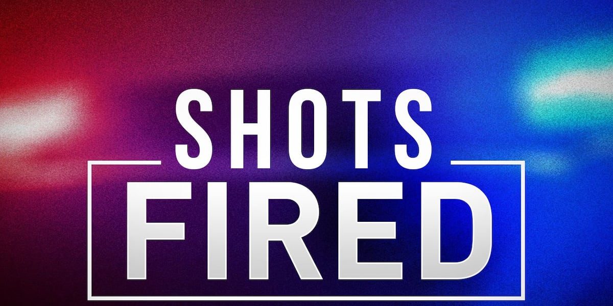 Albany police respond to shots fired outside J. Lane Theater