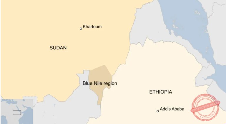RSF drone strike kills 41 in Sudan's Blue Nile region, rights group says