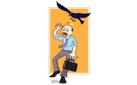When crows attack: Be on the lookout for these creepy creatures