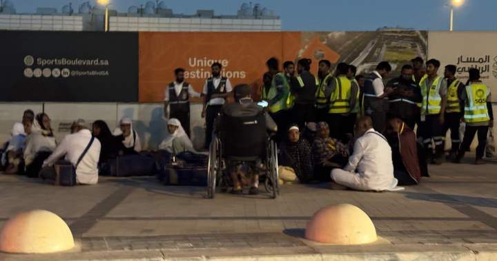 Canada advises no travel to Riyadh airport after Houthi attacks - National