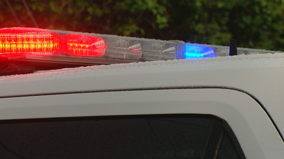 Indiana man detained after fatally stabbing parents: police