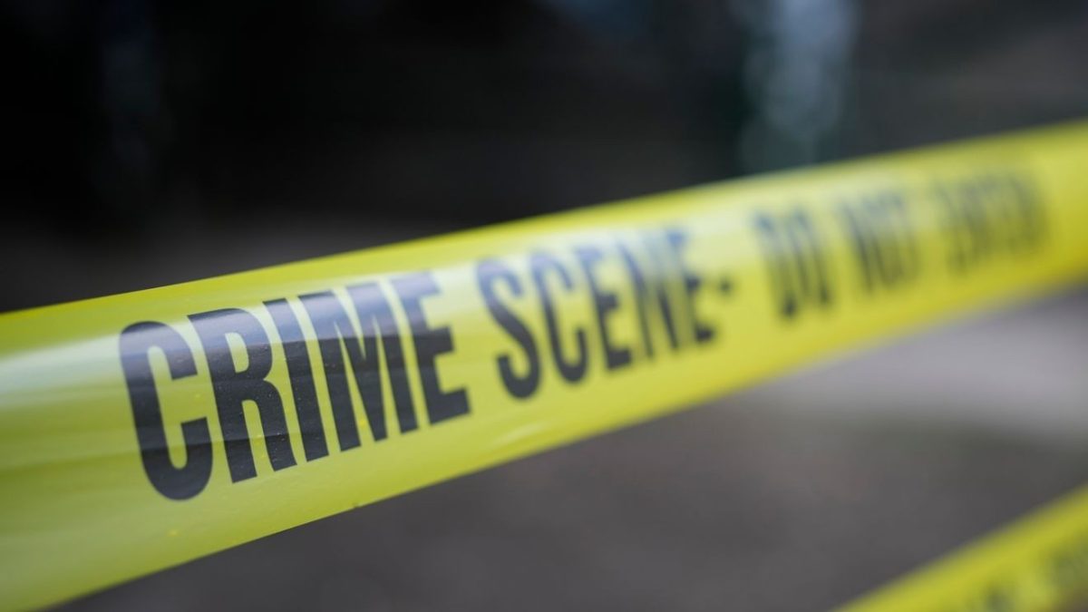Man charged with murder after twin brother found dead in backyard