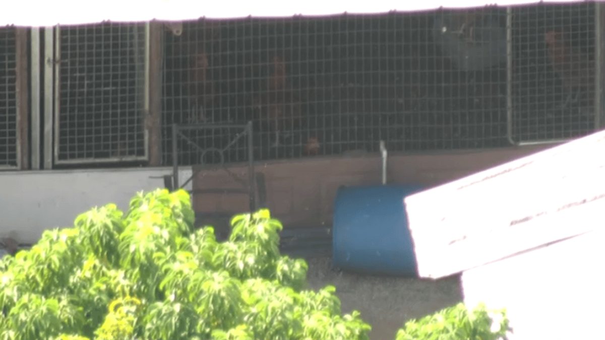 Property owner arrested after FBI raid uncovers massive Miami-Dade cockfighting operation