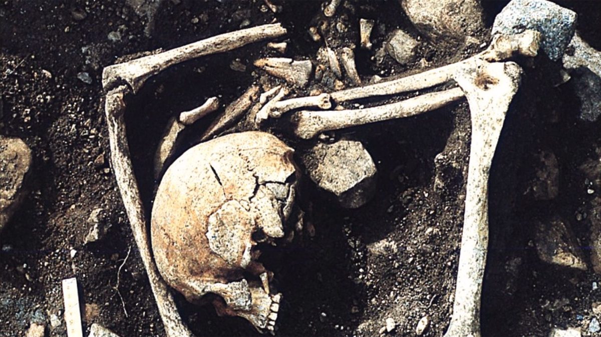 1,200-year-old burial in Latvia holds people who died of 'sharp force' injuries, possibly from a Viking raid