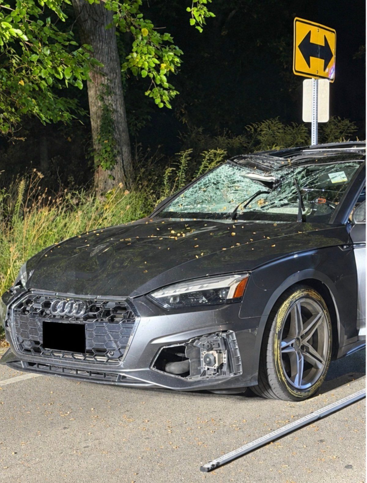 Crash At North Branch Trail And Harts Road Claims Chicago Man