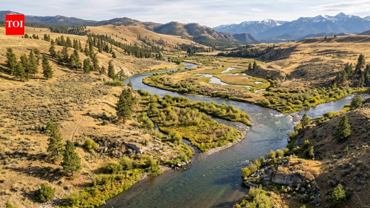 For nearly 100 years, a Montana dam held back 6.6 million cubic yards of contaminated mining sediment; its removal helped reconnect two rivers and restore the landscape