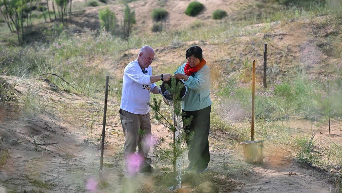 Retired US teacher returns to China to visit forest he helped grow