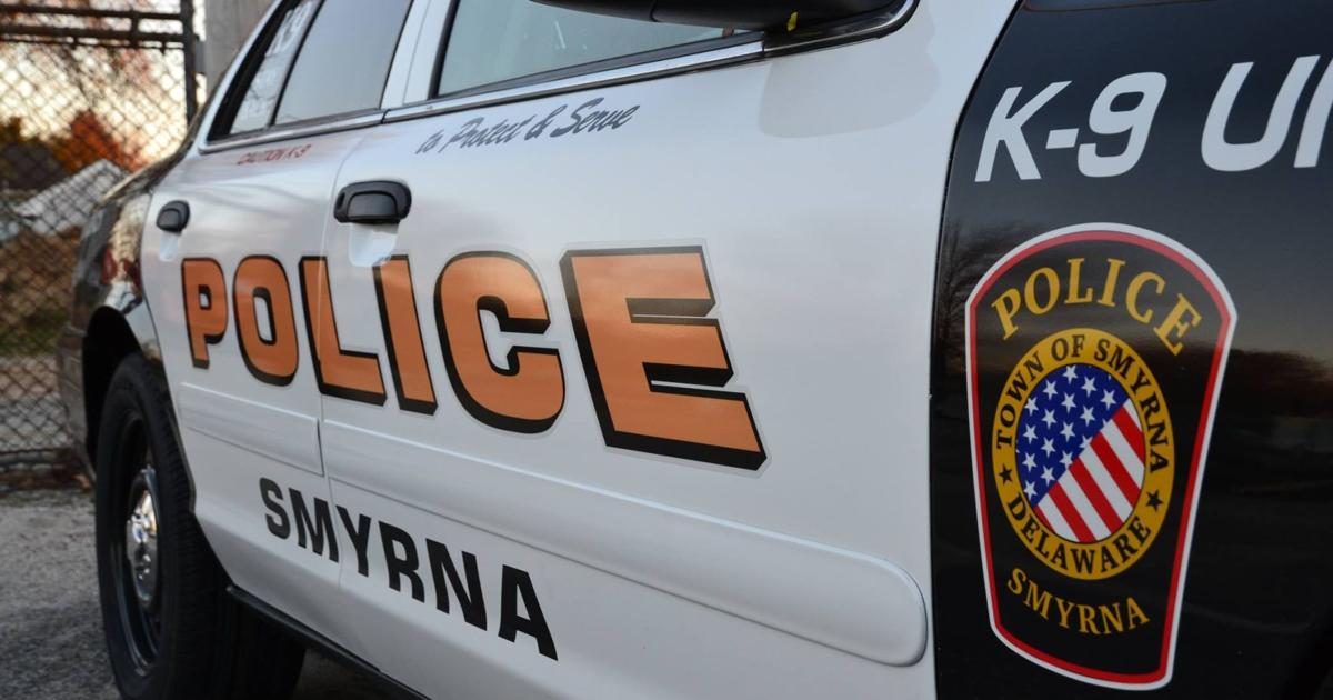 2 shot in crowd in Smyrna; vehicles and buildings also struck