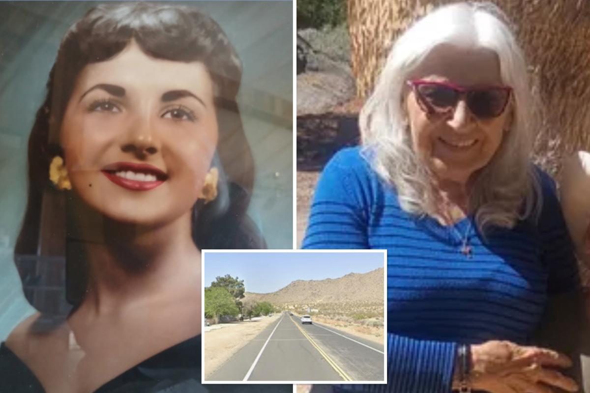 Adored SoCal mom of seven struck and killed trying to save dog hit by car