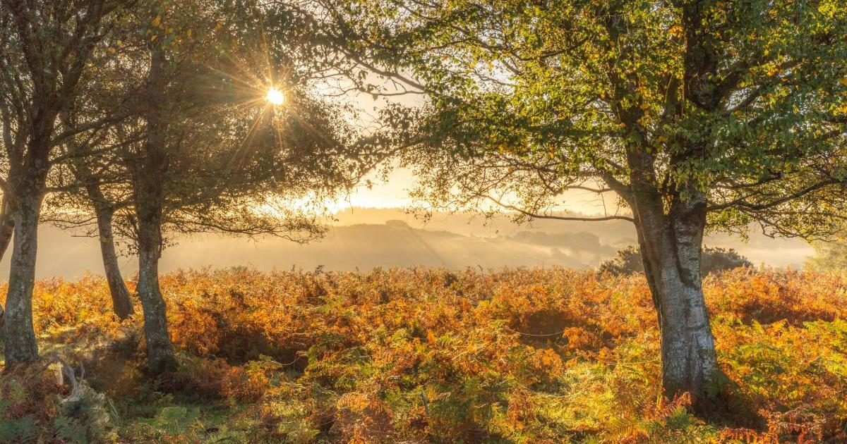 Tropical air from hurricane set to send temperatures soaring this week in Essex