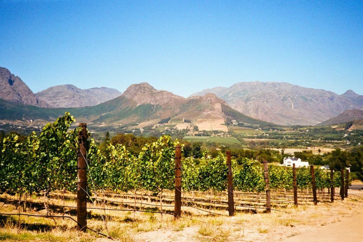 Murder rate more than tripled in this wine farm town