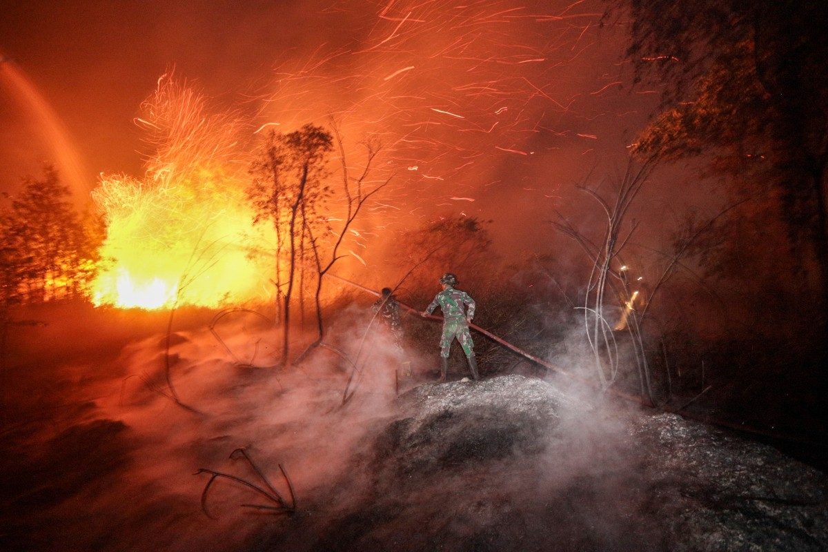 Wildfires in Indonesia's national parks threaten biodiversity as firefighting gaps persist