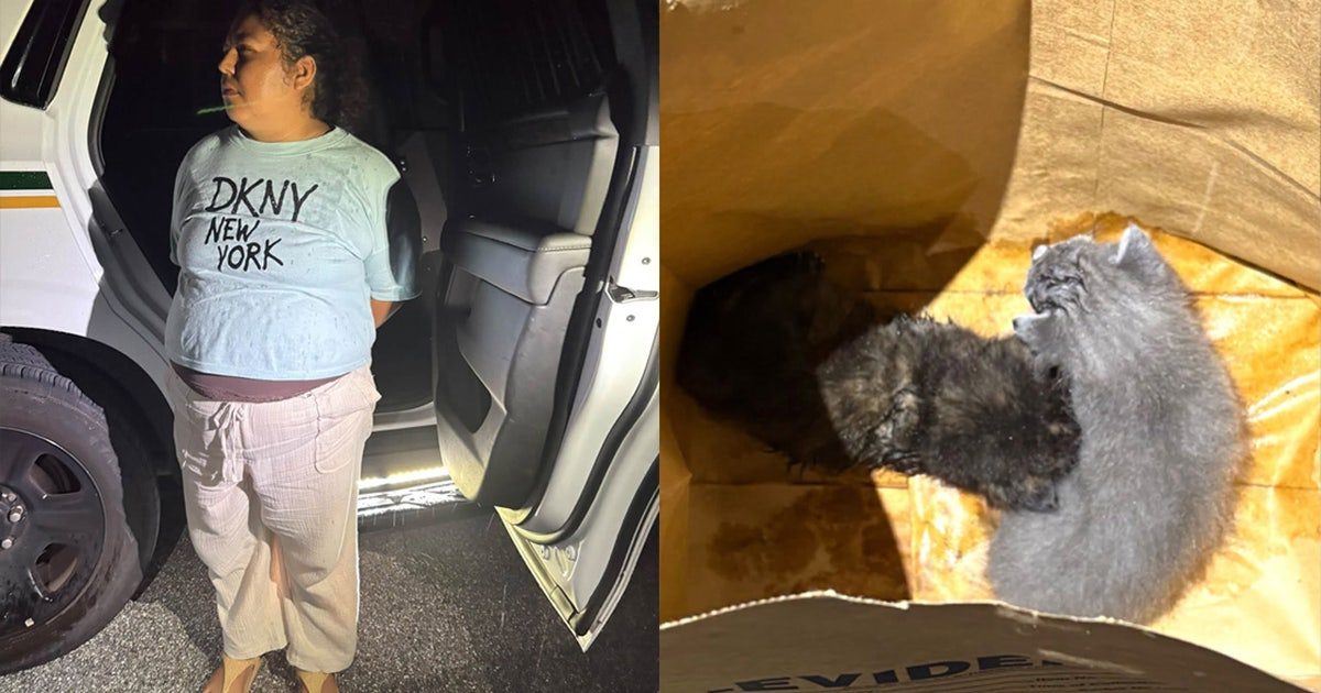Florida woman buried cats alive believing they were demons: MCSO