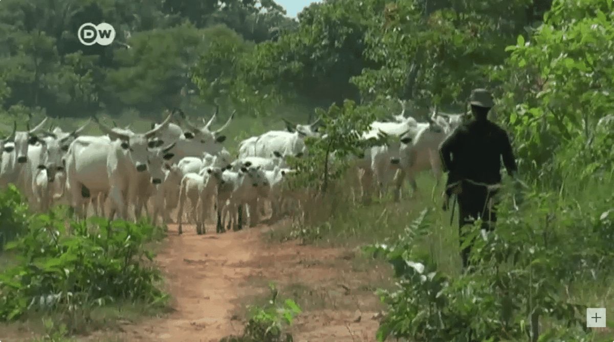 Persecution in Nigeria leaves 20 Christians dead