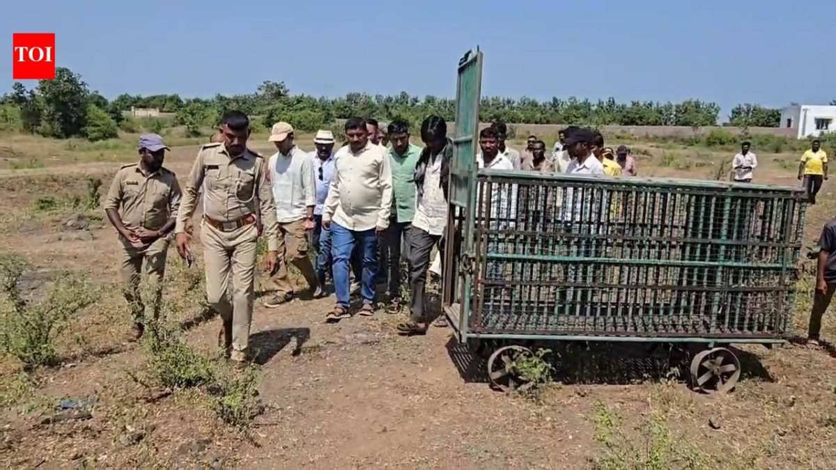 31-year-old man killed in lion attack near Kodinar